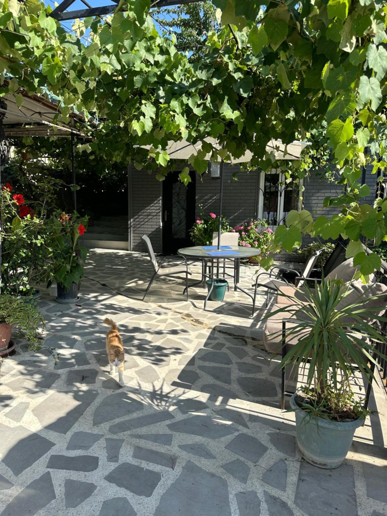 טביליסי Apartment Lui מראה חיצוני תמונה